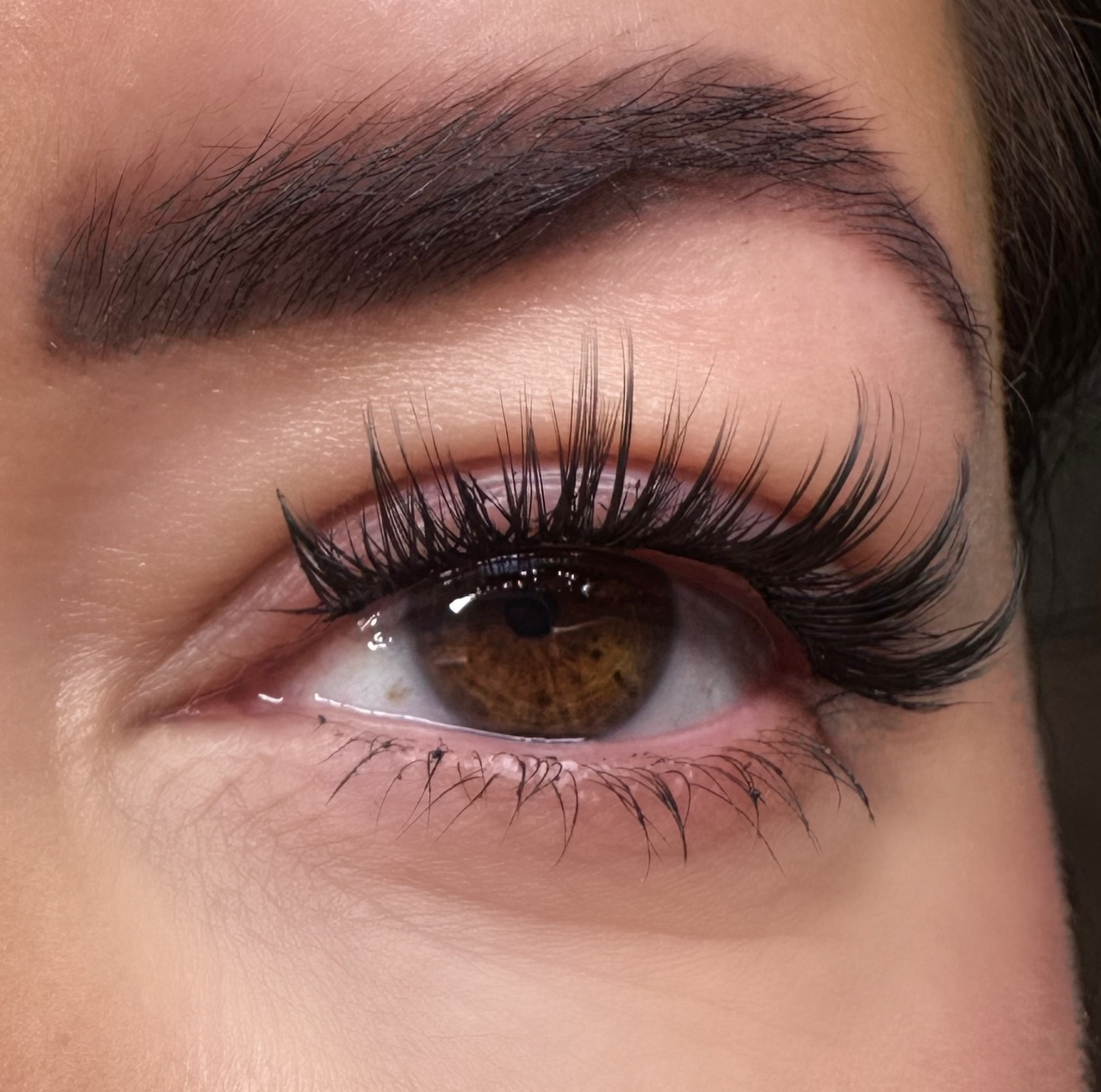 SPIKEY VOLUME  | IRIS | LASH LINK LASH EXTENSIONS RIBBON