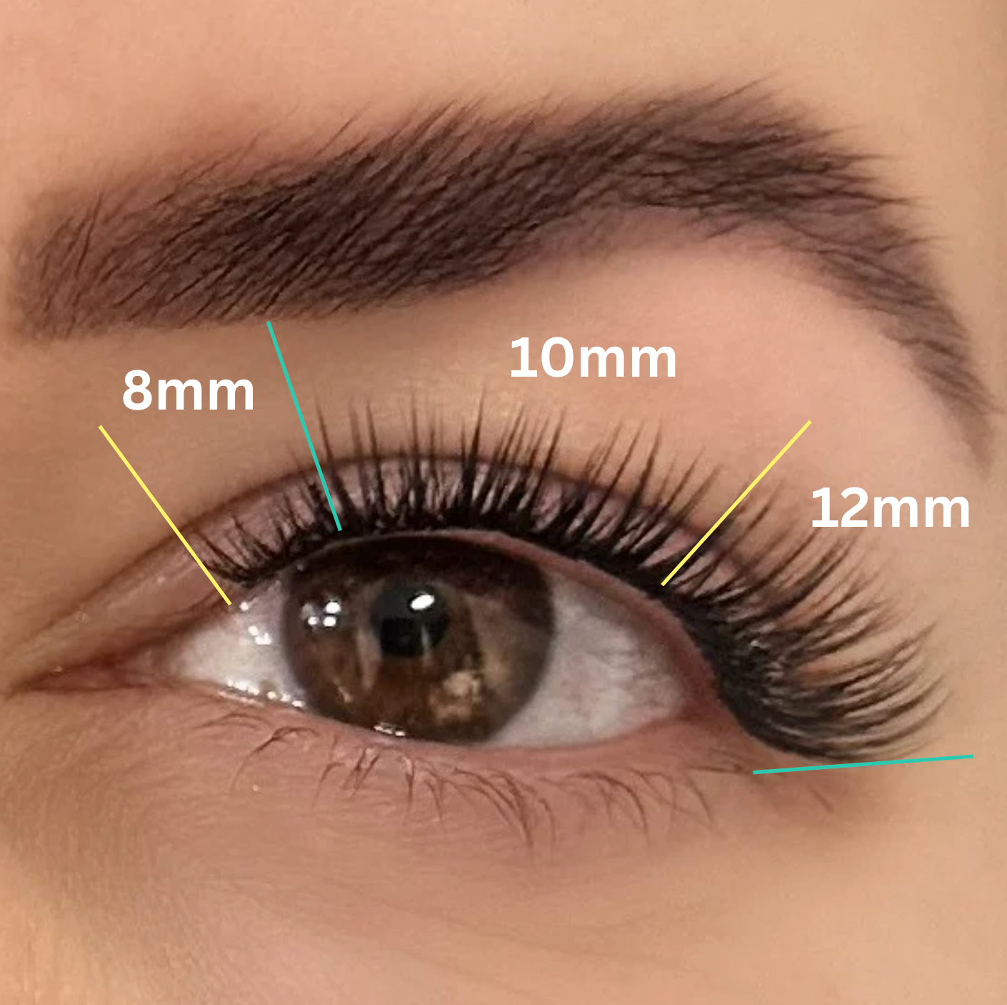 LIGHT VOLUME  | HERA | LASH LINK LASH EXTENSIONS RIBBON