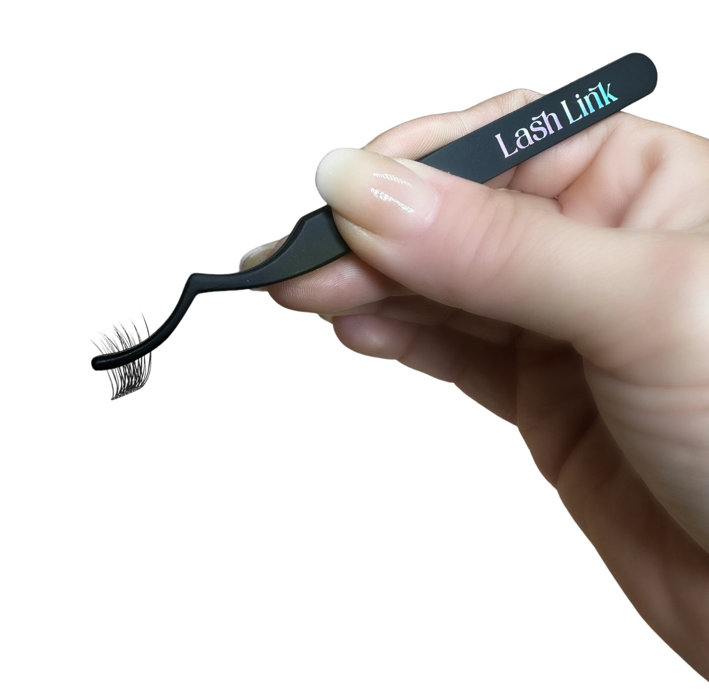 lash linnk applicator tweezers holding a lash segment
